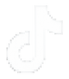 TikTok icon